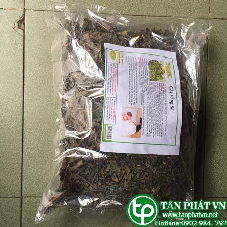 Phân phối, bán chè vằng tại bảo lộc