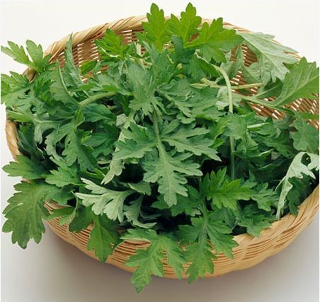 ngãi cứu chữa bầm tím cơ thể