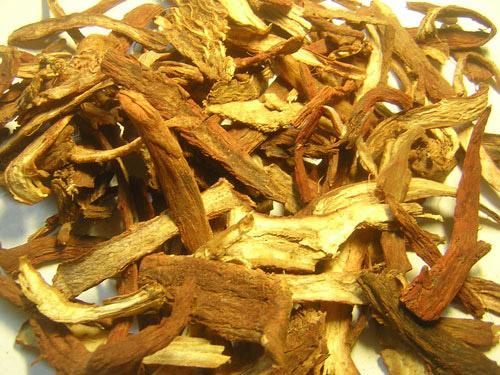 bài thuốc chữa bệnh hiệu quả từ đan sâm